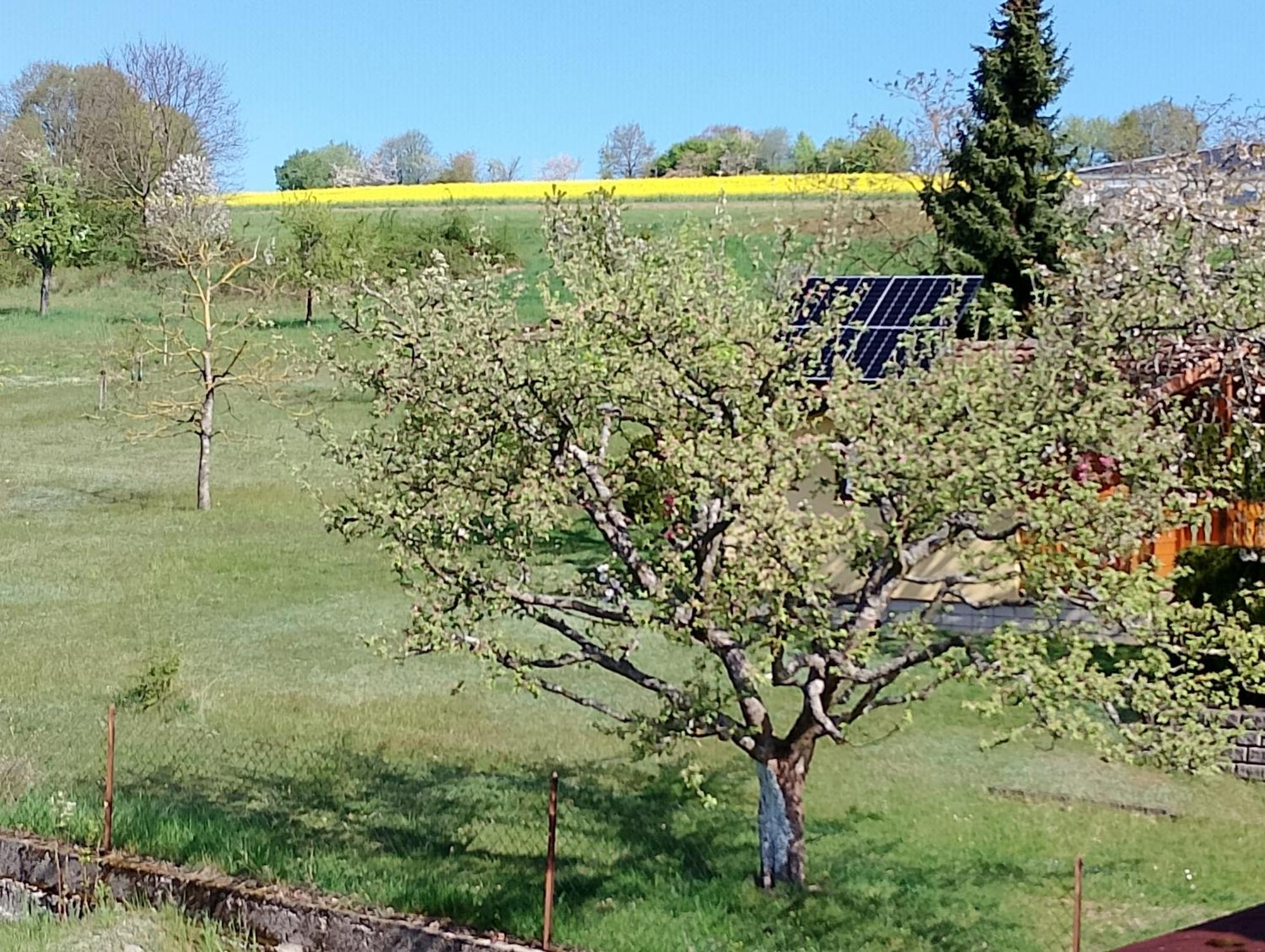 Pension Schmitt Waldfenster Экстерьер фото