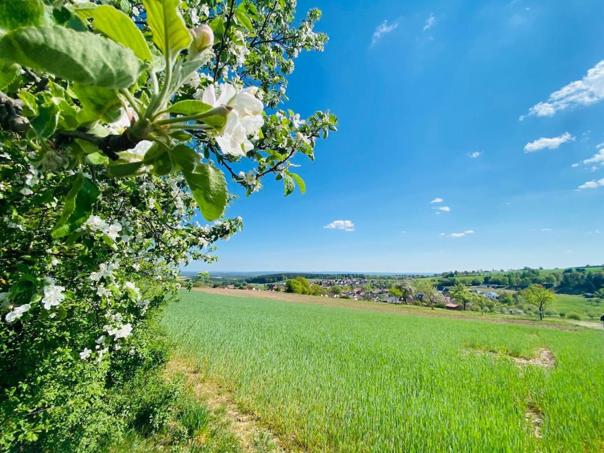 Pension Schmitt Waldfenster Экстерьер фото