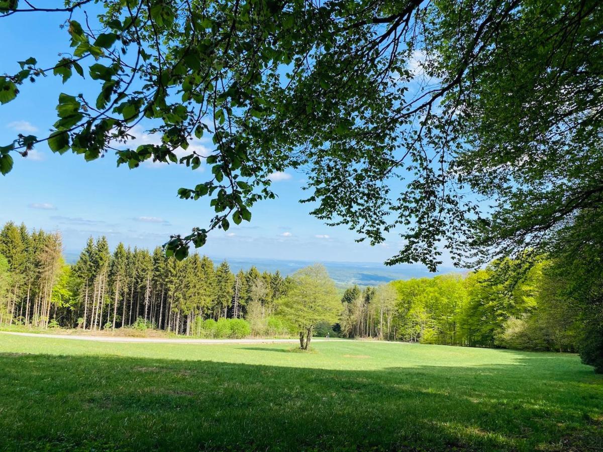 Pension Schmitt Waldfenster Экстерьер фото