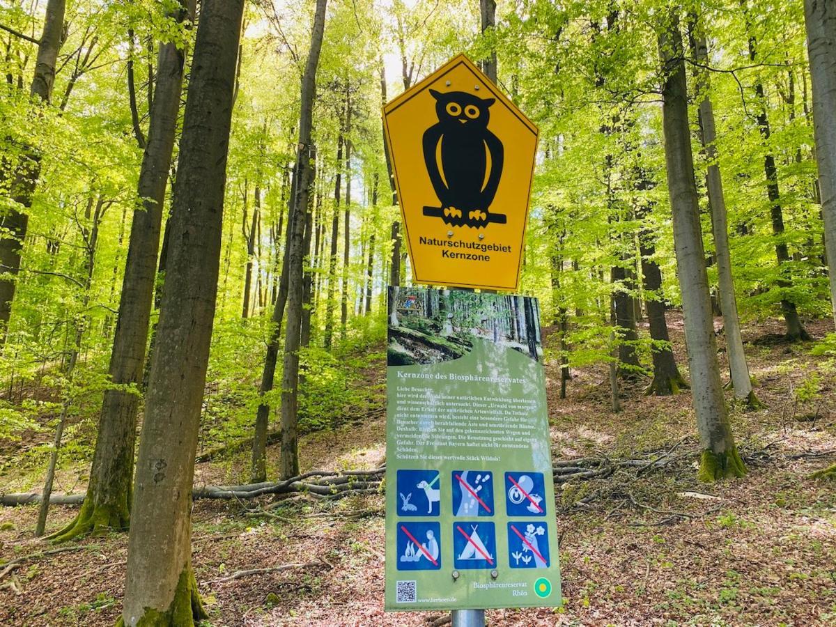 Pension Schmitt Waldfenster Экстерьер фото