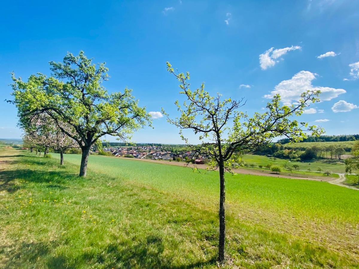 Pension Schmitt Waldfenster Экстерьер фото