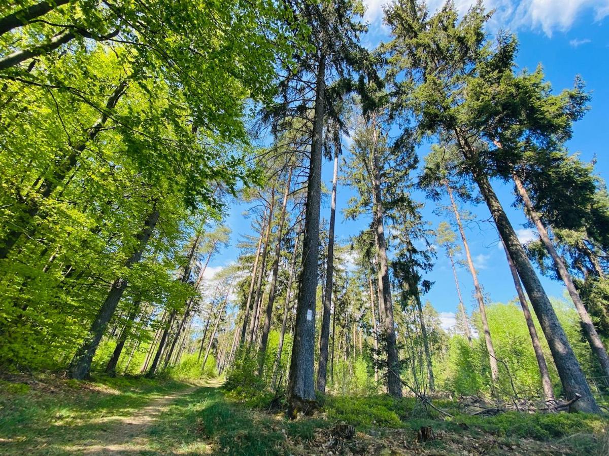 Pension Schmitt Waldfenster Экстерьер фото