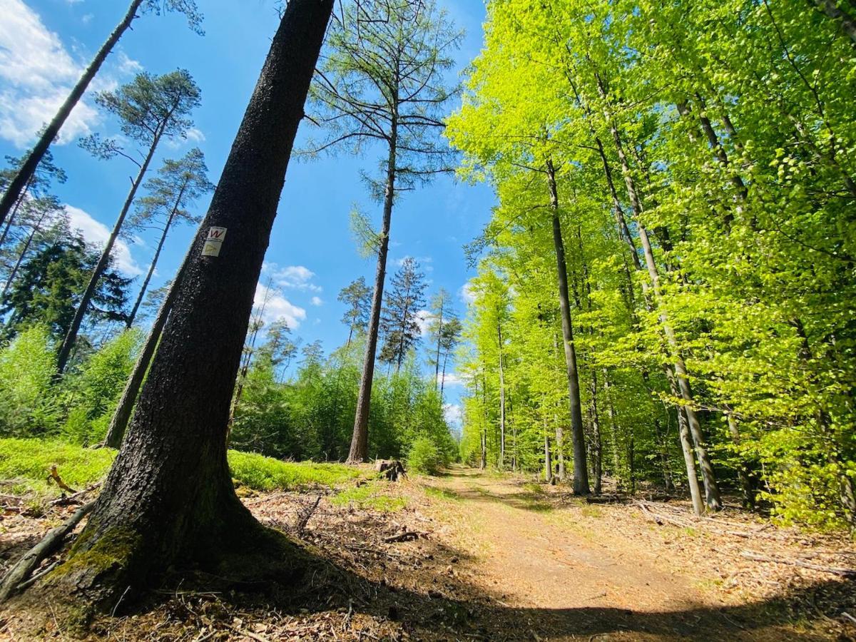 Pension Schmitt Waldfenster Экстерьер фото
