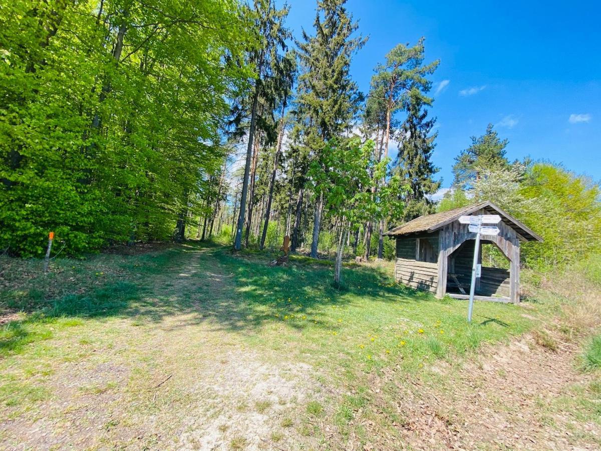 Pension Schmitt Waldfenster Экстерьер фото